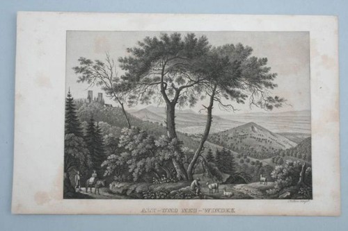 Alt und neu windek elsass - neu-windek,