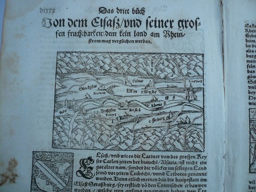 Elsass-Rheinlauf-Alsace-Basle-
